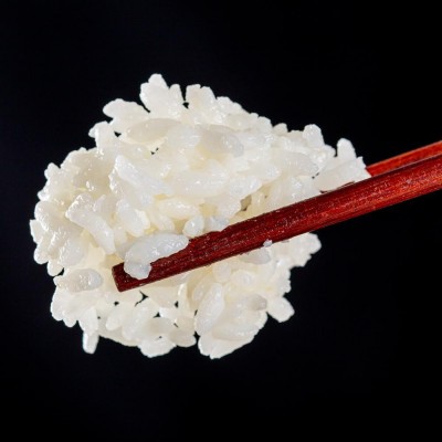 东北生态香米500g1斤2斤5斤大米稻花新米五常大米厂家批发代发