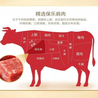 进口 保乐肩 批发厂家图4