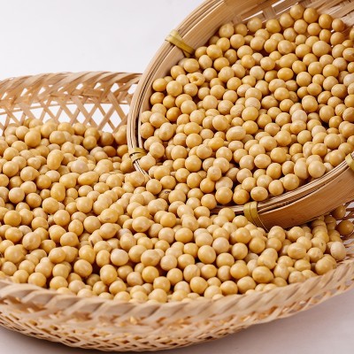 黄豆2斤真空包装代发打豆浆豆腐发豆芽专用厂家批发散装东北大豆图2