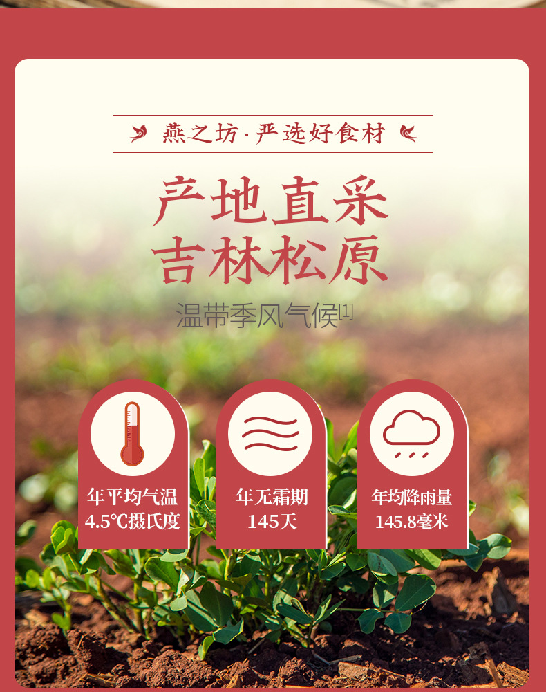 花生仁355g_03
