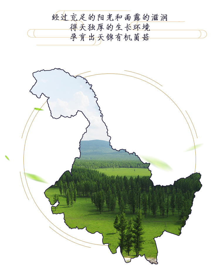 牛皮纸黑木耳_02.jpg