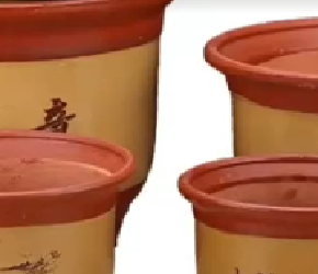 菏泽农科院农业科普讲堂盆栽牡丹种植技术