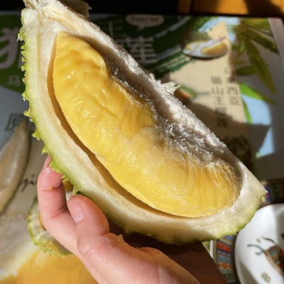 【顺丰】猫山王榴莲430g盒装果肉马来西亚进口新鲜水果液氮冷冻图2