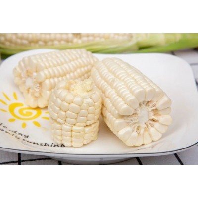 福建冰糖心牛奶玉米生吃即食蔬菜冰糖水果玉米一件代发