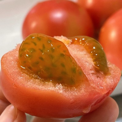 草莓西红柿新鲜沙瓤番茄现摘现发可生吃西红柿图2