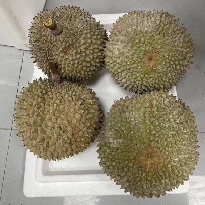 顺丰包邮 整果黑刺榴莲猫山王D200液氮冷冻果带壳软糯树上熟批发图4