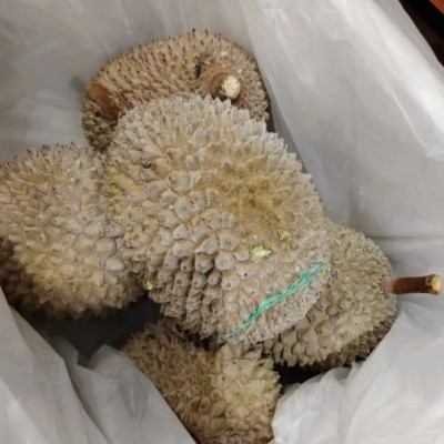 猫山王榴莲d197马来西亚b果一箱批发20斤冰冻6颗液氮 巴掌榴莲图3