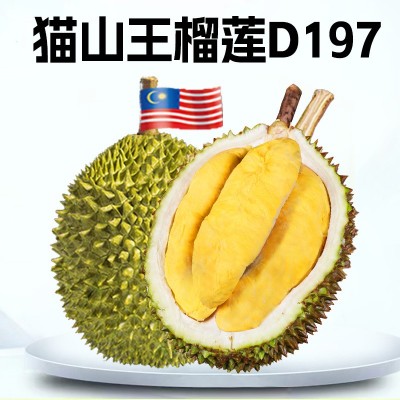 猫山王榴莲d197马来西亚b果一箱批发20斤冰冻6颗液氮 巴掌榴莲图5
