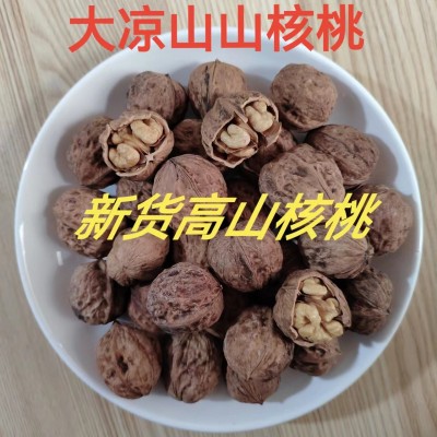 2023核桃新货批发薄壳干核桃非新疆纸皮干果核桃坚果大凉山核桃图3