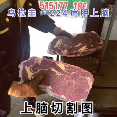 冷冻进口牛肉一手货源支持式样一件起发乌拉圭224肩甲上脑图3