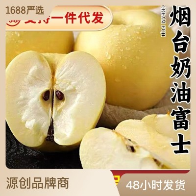 黄金奶油富士苹果老人孩子新鲜水果支持代发脆甜富士苹果批发