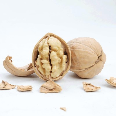 新疆特产纸皮核桃代发185薄皮核桃500g手捏薄壳纸皮生核桃批发图5