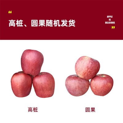 【日销】产地直发新鲜采摘花牛苹果香甜多汁6粒装图5