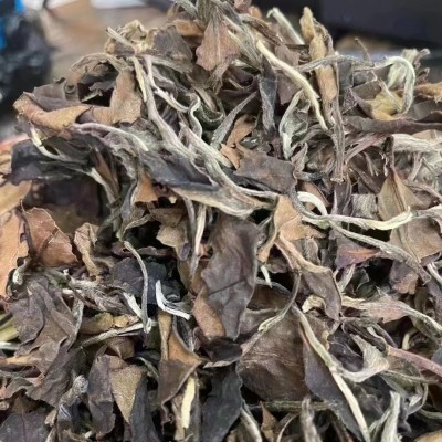 福鼎的白茶2019年枣香日晒老白茶寿眉贡眉散茶散装500克厂家直供图3