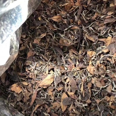 福鼎的白茶2019年枣香日晒老白茶寿眉贡眉散茶散装500克厂家直供图2
