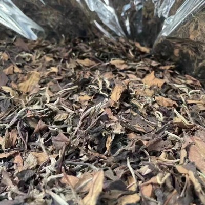 福鼎的白茶2019年枣香日晒老白茶寿眉贡眉散茶散装500克厂家直供图4