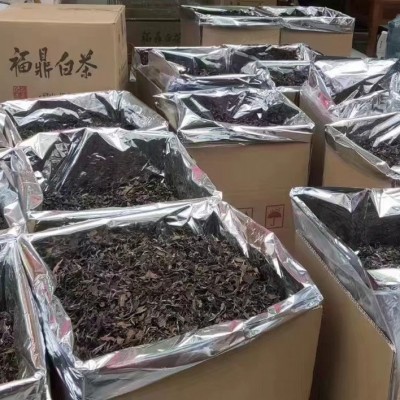 福鼎的白茶2019年枣香日晒老白茶寿眉贡眉散茶散装500克厂家直供图5
