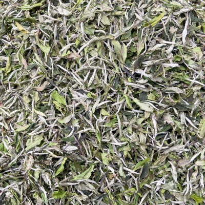2022年福鼎管阳春茶花香白牡丹高山日晒白茶散茶装500克厂家直供图5