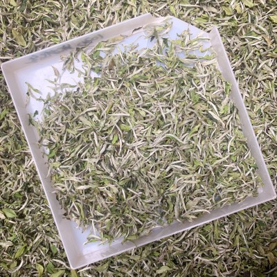 2022年福鼎管阳春茶花香白牡丹高山日晒白茶散茶装500克厂家直供图6