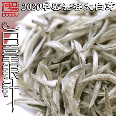 白毫银针普洱茶生茶景谷大白茶纯芽头古树茶月光白美人白豪银针图2
