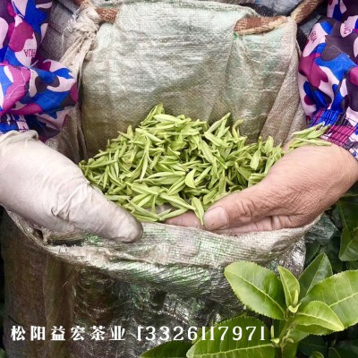 浙江绿茶松阳香茶龙井茶产地直销茶批发样品支持批发图2