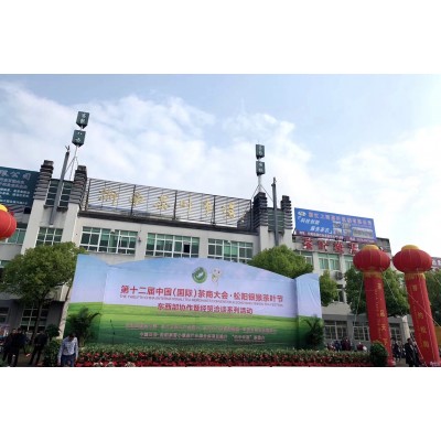 浙江绿茶松阳香茶龙井茶产地直销茶批发样品支持批发图6