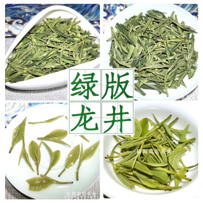 浙江龙井茶2023新茶 高山云雾松阳炒青绿茶货源产地茶叶一件批发图2