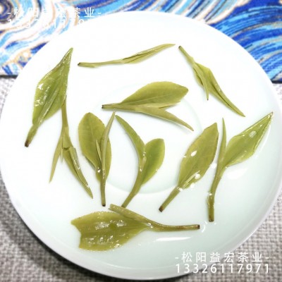 浙江龙井茶2023新茶 高山云雾松阳炒青绿茶货源产地茶叶一件批发图5