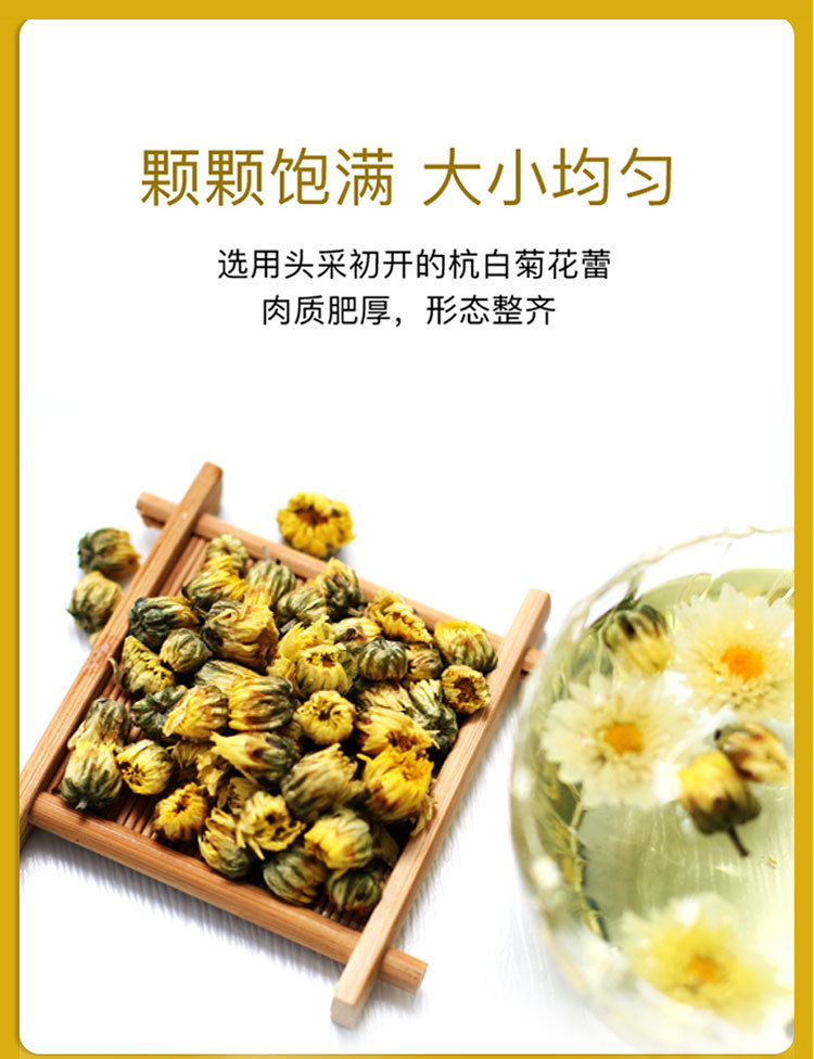 皇菊详情_04.jpg