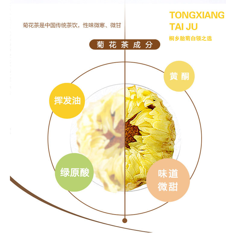 皇菊详情_02.jpg