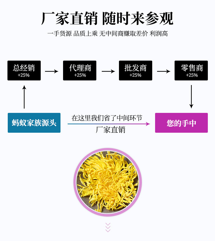 散茶金丝皇菊-详情_06.jpg