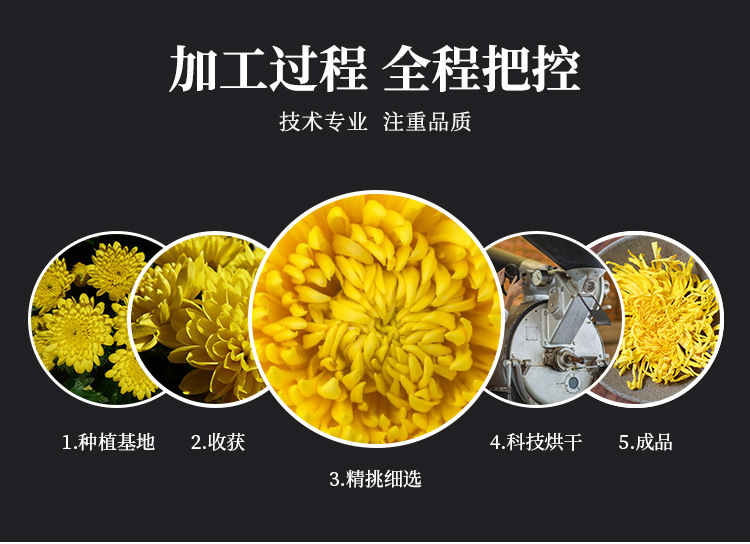 散茶金丝皇菊-详情_04.jpg
