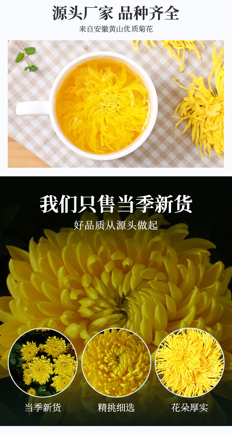 金丝皇菊1.jpg