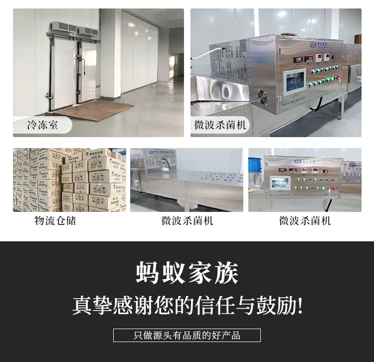 散茶金丝皇菊-详情_12.jpg