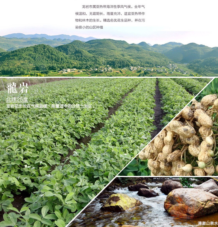 龙岩