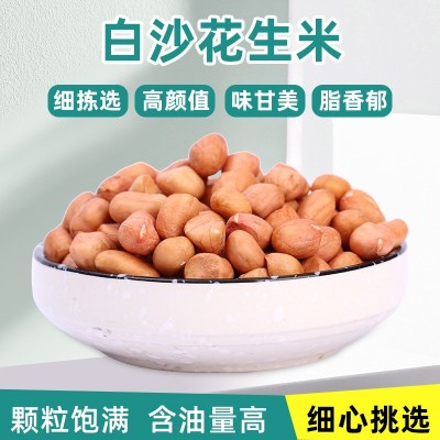 厂家批发白沙花生米 商用烘焙奶茶店 农家红衣大粒饱满花生米仁