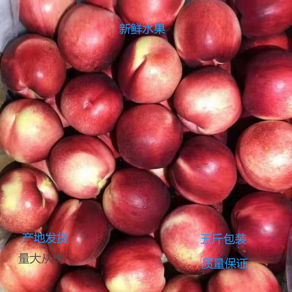 微信图片_20210414135946