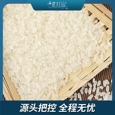 批发东北大米长粒香米5kg10斤 2023年新米黑龙江特产粳米可图3