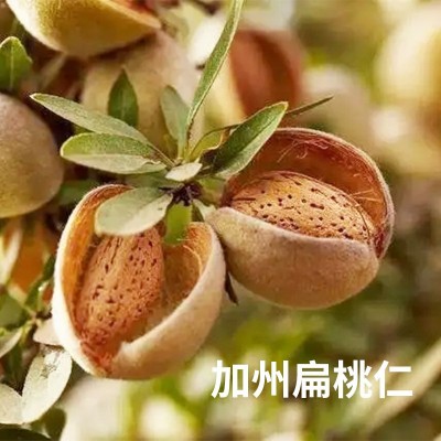 扁桃仁饼干烘焙原味散装坚果大颗粒杏仁整箱批发焙焙家去皮巴旦木图3