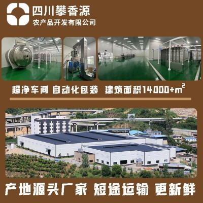 FD冻干象牙芒果无添加糖烘培饮料棉花糖原材料健康零食源头厂家图4