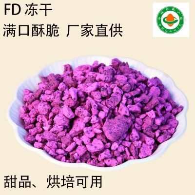 冻干水果红心火龙果粒即食有机认证健康食品甜品烘培可用厂家直供图2