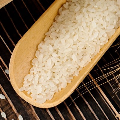 现磨新米5kg10斤 黑龙江大米 厂家直批图3