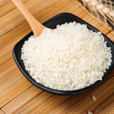 现磨新米5kg10斤 黑龙江大米 厂家直批图2