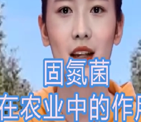 自然规律农法植物诊所农业知识科普：固氮菌在农业中的作用