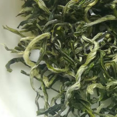 明前新绿茶直条毛尖浓香耐泡翠芽雀舌都匀白毛尖曲亳电商货源图5