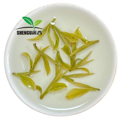 新茶西湖浙江松阳美景浓豆香绿茶批发春茶叶散装白茶绿龙井茶图4