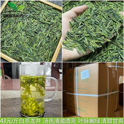 新茶西湖浙江松阳美景浓豆香绿茶批发春茶叶散装白茶绿龙井茶图5