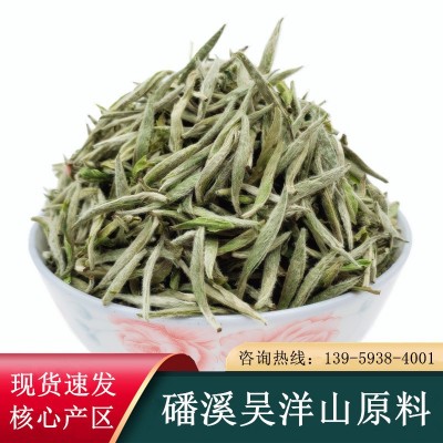 福鼎头采白毫银针 明前头春白茶芽茶磻溪银针散装厂家批发图4