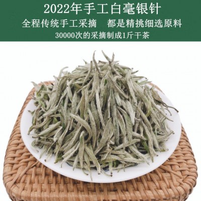 福鼎头采白毫银针 明前头春白茶芽茶磻溪银针散装厂家批发图3