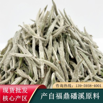 福鼎头采白毫银针 明前头春白茶芽茶磻溪银针散装厂家批发图2
